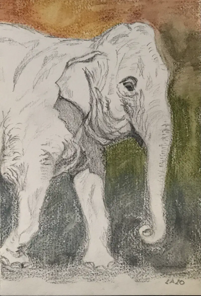 Old Female Elephant